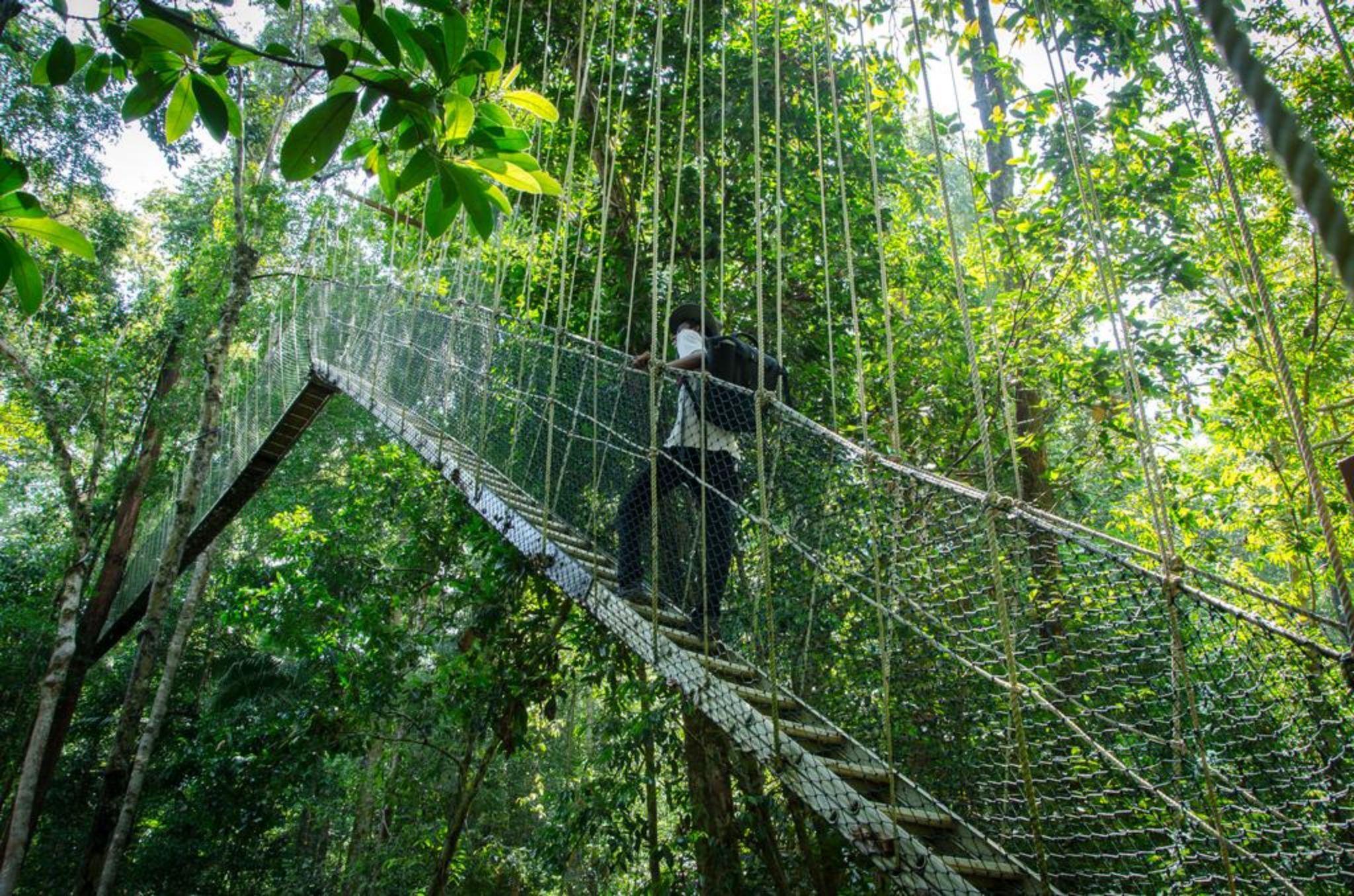 Hotel Mutiara Taman Negara Kuala Tahan Zewnętrze zdjęcie