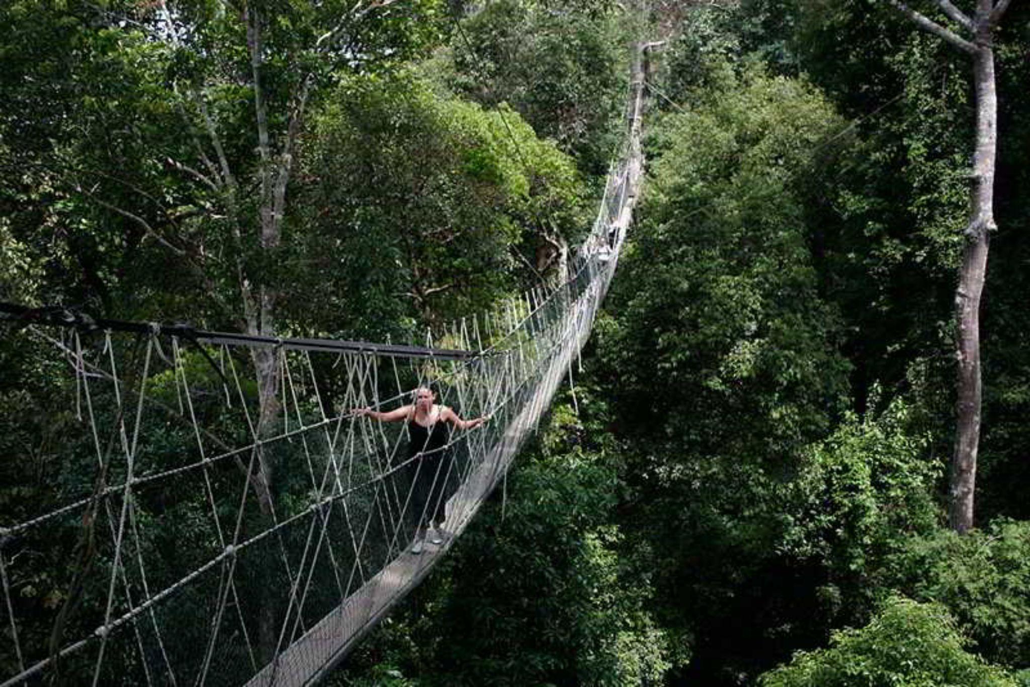 Hotel Mutiara Taman Negara Kuala Tahan Zewnętrze zdjęcie