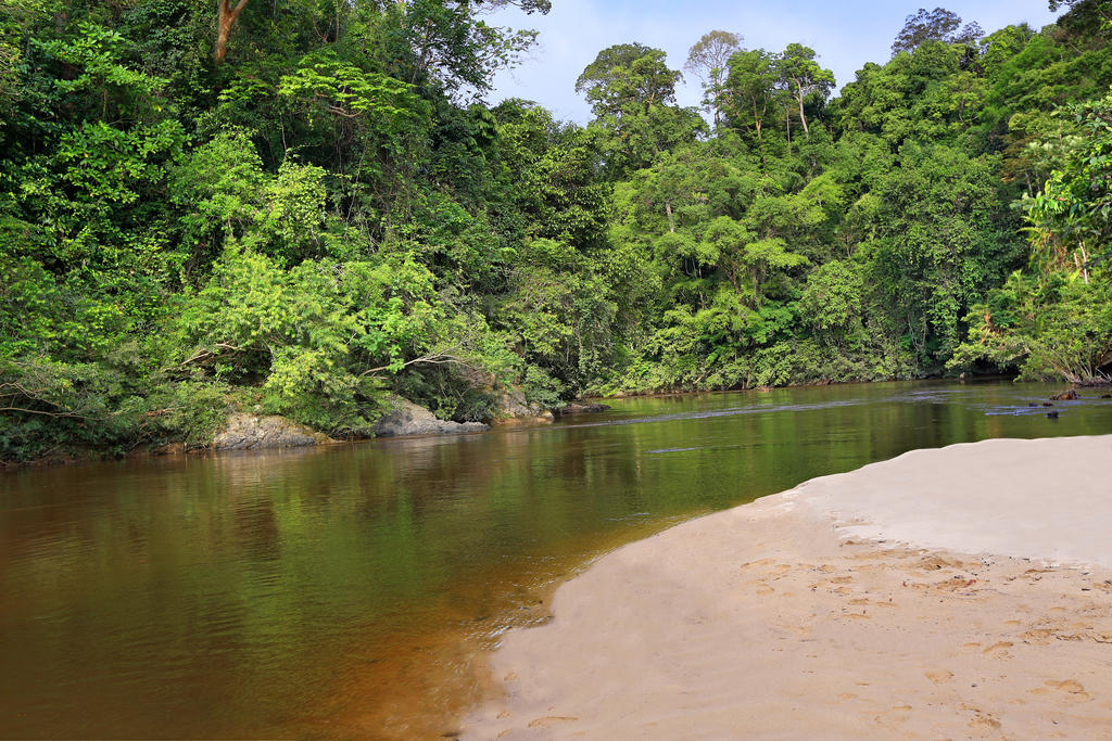 Hotel Mutiara Taman Negara Kuala Tahan Zewnętrze zdjęcie